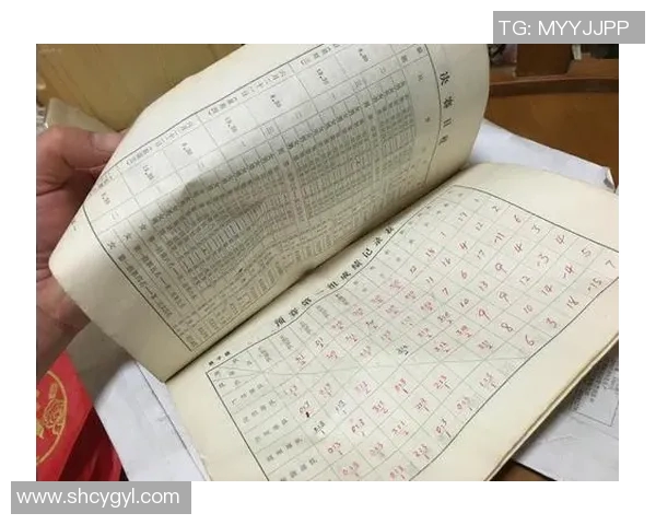 武汉排球队在阵地战中的表现分析与战术反思